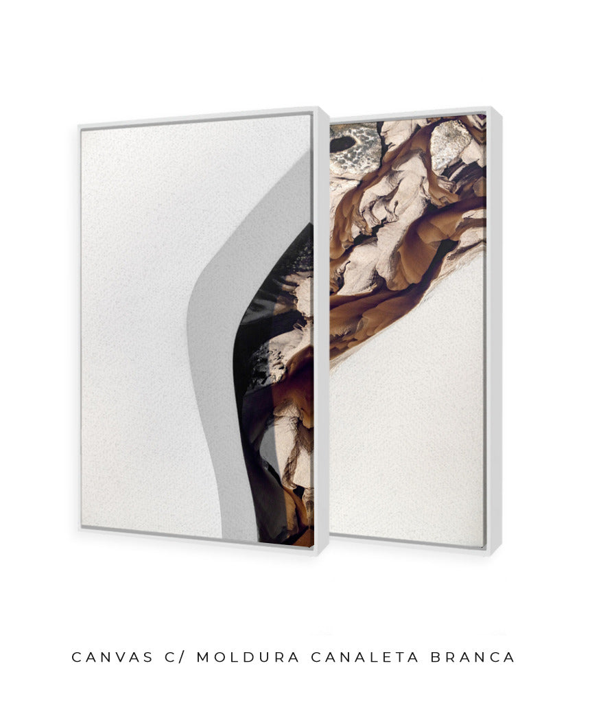 Quadro Decorativo Abstrato e Curvas - Tons Marrom e Branco -Dupla