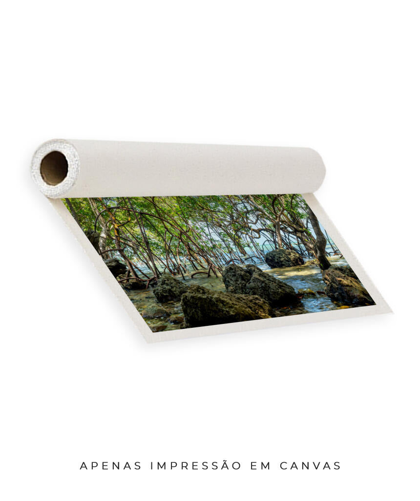 Quadro Decorativo Árvores e Galhos - Pedras e árvores