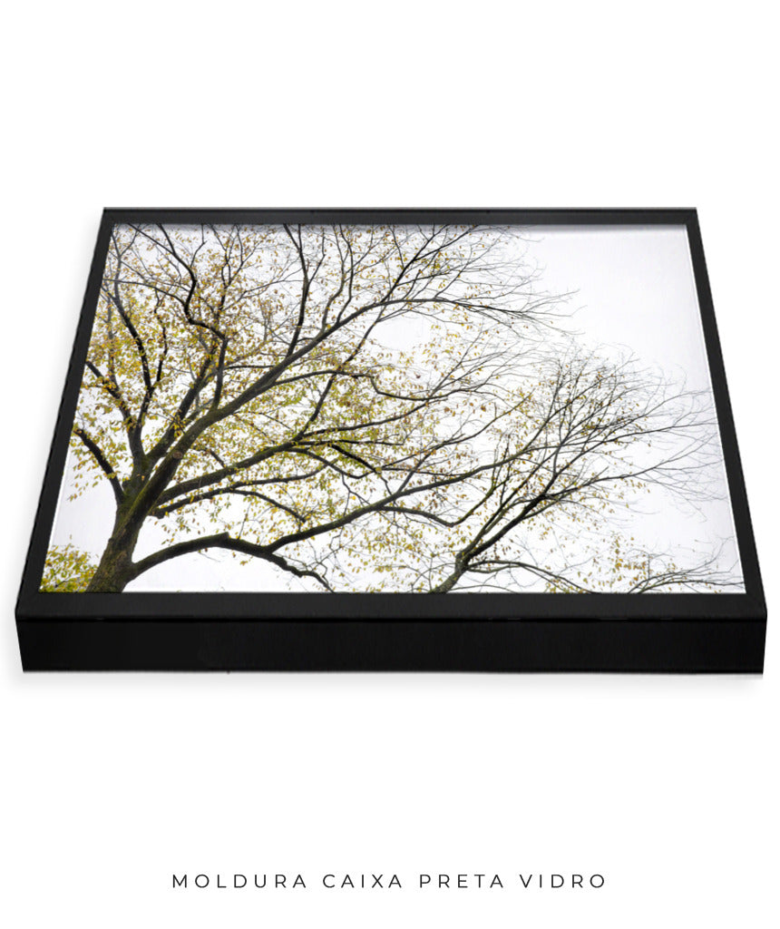 Quadro Decorativo Galhos Secos - Horizontal