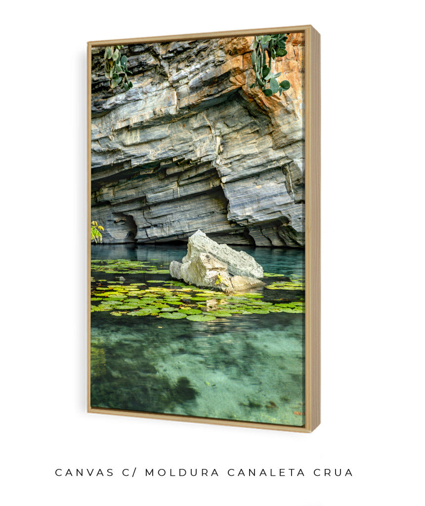Quadro Decorativo Chapada Diamantina -Vitória Régia- Vertical