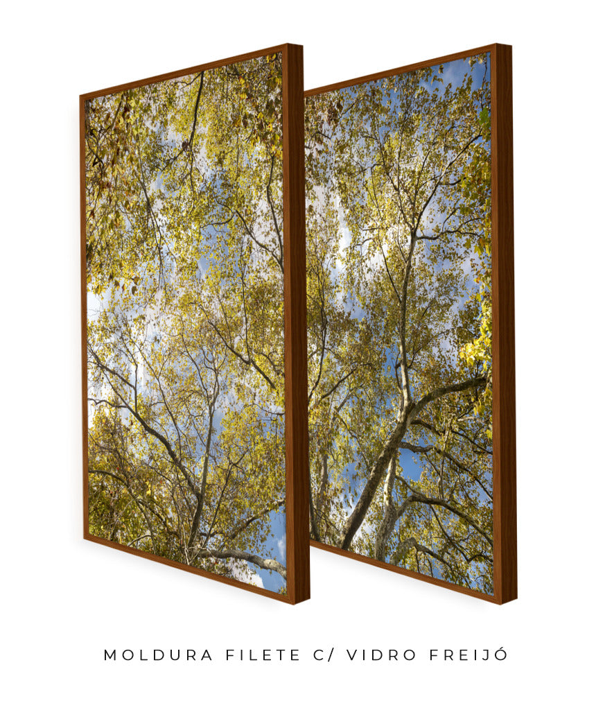 Quadro Decorativo Galhos e Árvores - Dupla