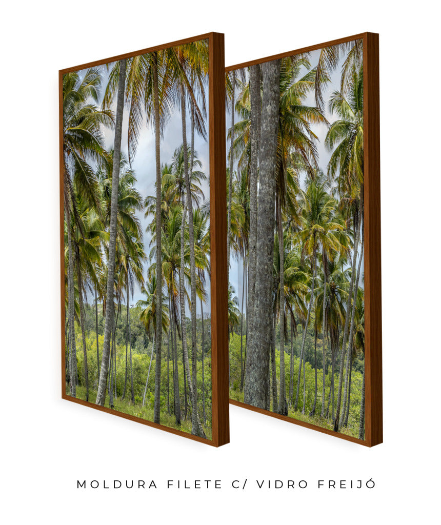 Quadro Decorativo Coqueiros Sépia -Dupla