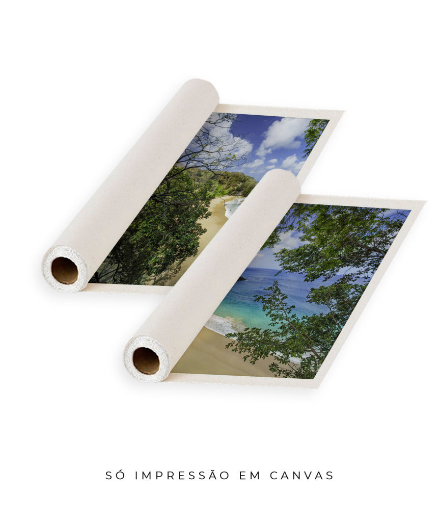 Quadro Decorativo Praia e mar,galhos verdes - Dupla
