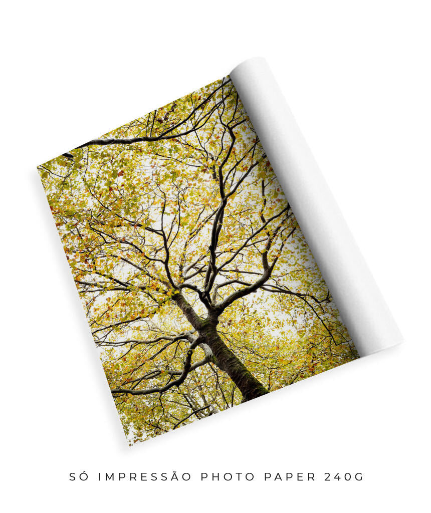 Quadro Decorativo Árvores e Galhos - Folhas verdes Vertical