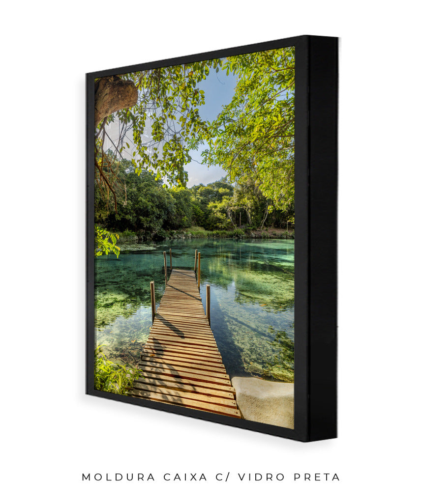 Quadro Decorativo Chapada Diamantina - Ponte para Paraíso-Vertical