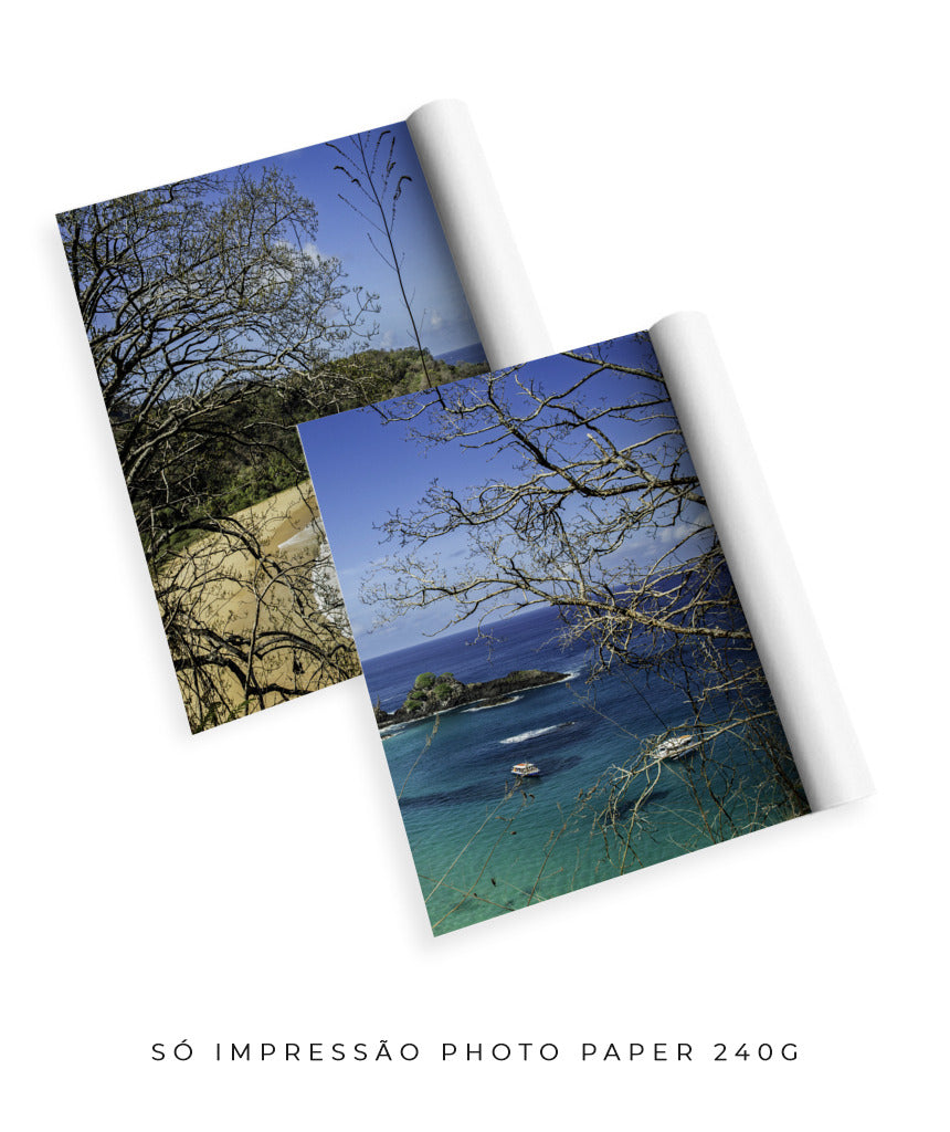 Quadro Decorativo Praia, Mar e Galhos Secos -Dupla