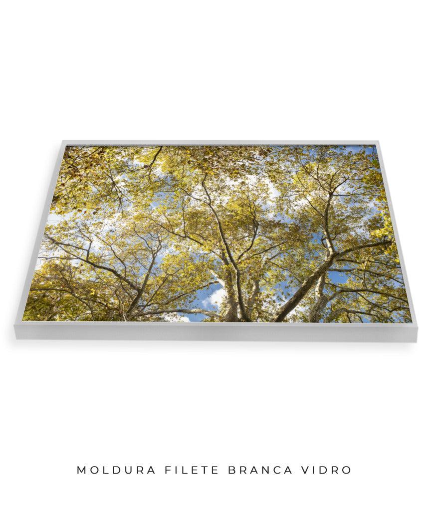 Quadro Decorativo Galhos e Árvores - Horizontal
