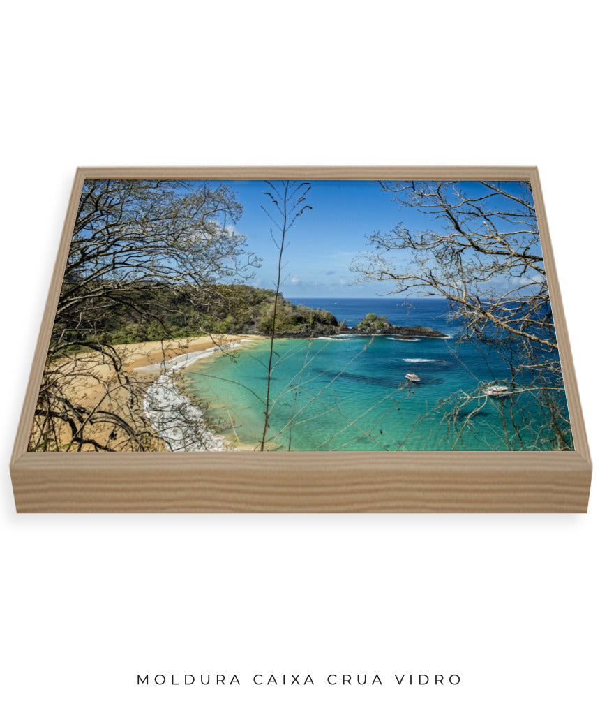 Quadro Decorativo Noronha - Praia, Mar e Galhos Secos - Horizontal