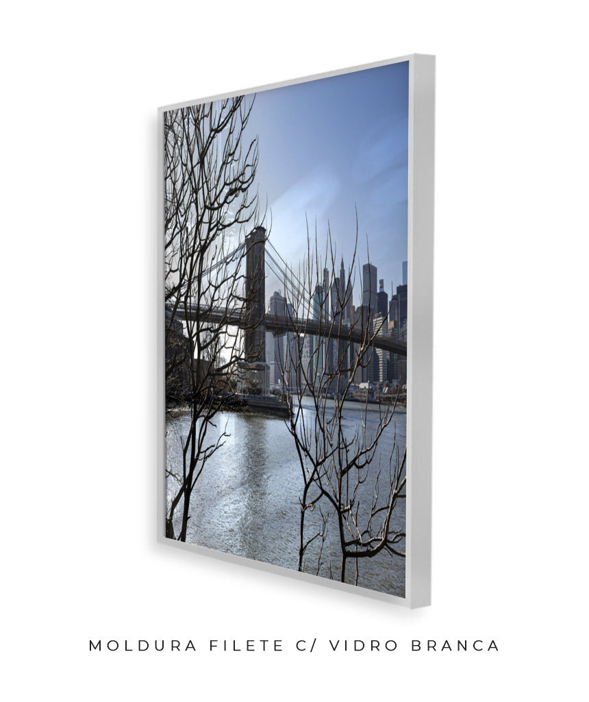 Quadro Decorativo Lago de Nova York