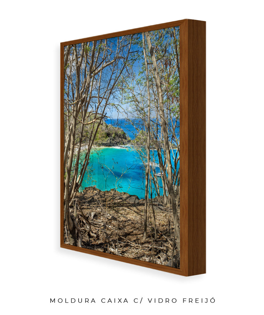 Quadro Decorativo Portais Praia