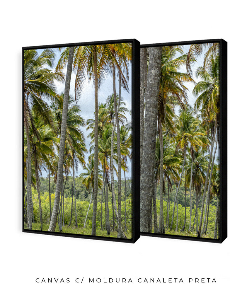 Quadro Decorativo Coqueiros Sépia -Dupla