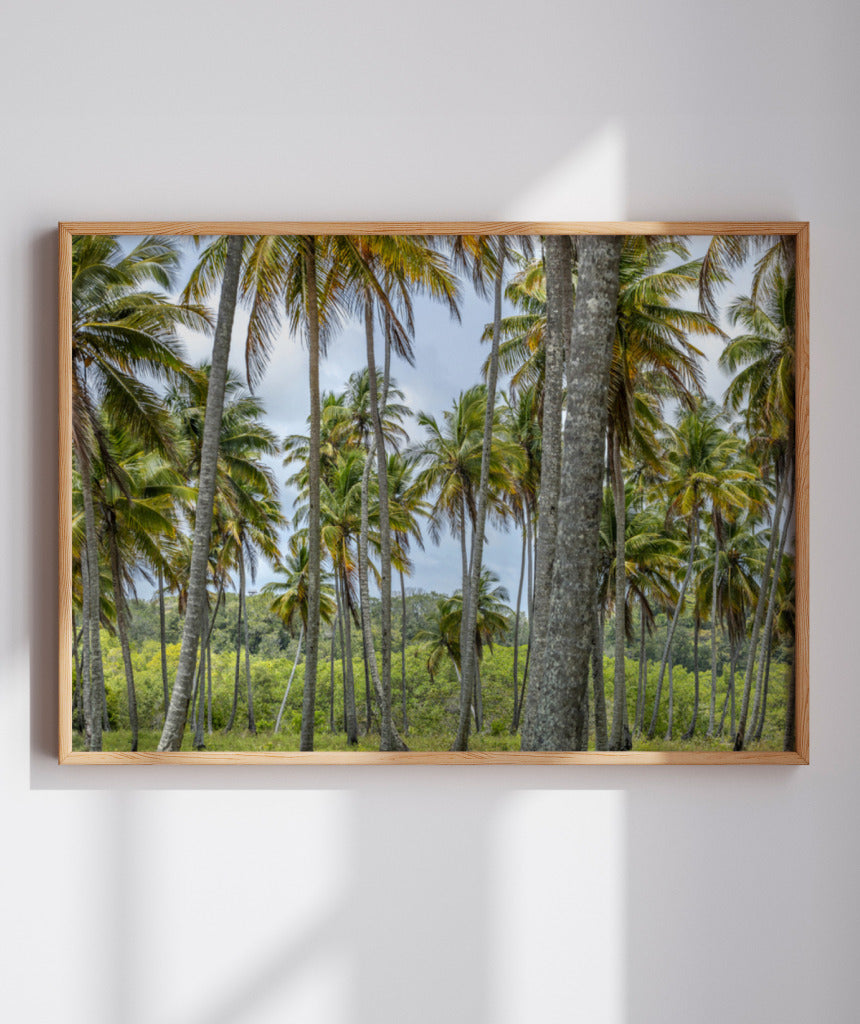 Quadro Decorativo Coqueiros Sépia - Horizontal