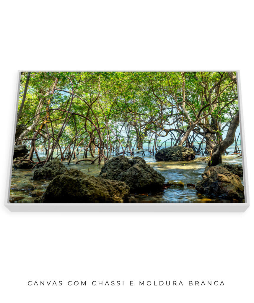 Quadro Decorativo Árvores e Galhos - Pedras e árvores