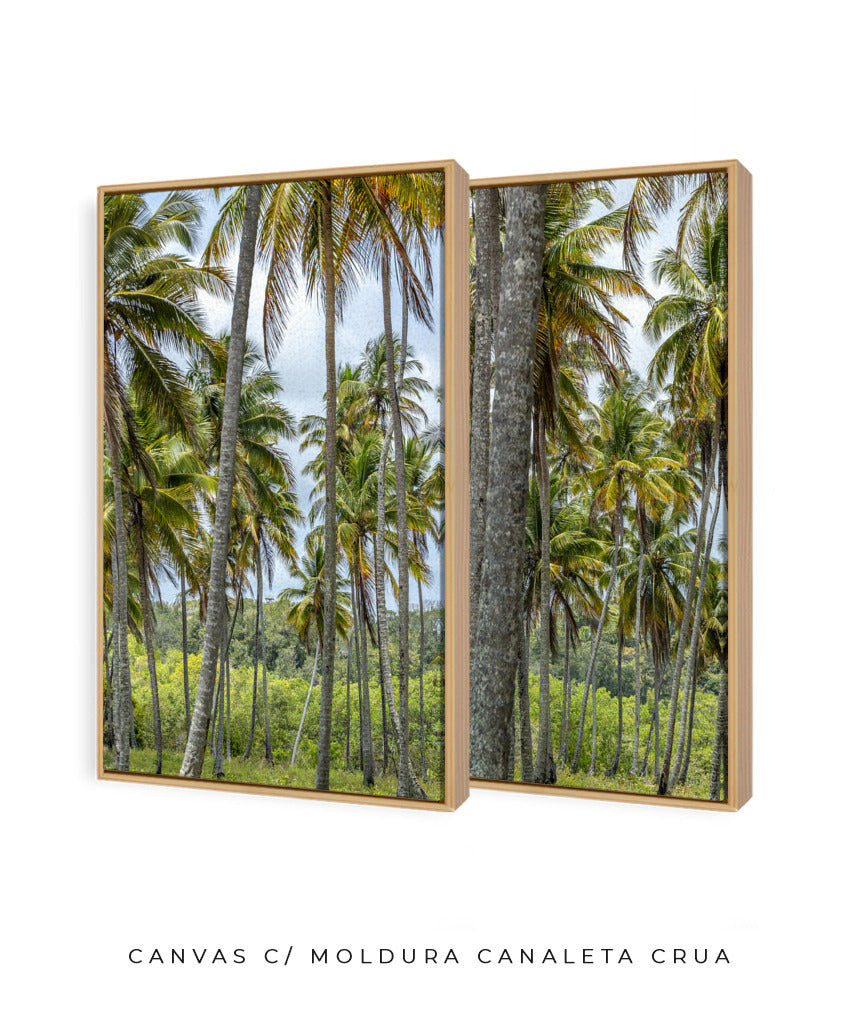 Quadro Decorativo Coqueiros Sépia -Dupla