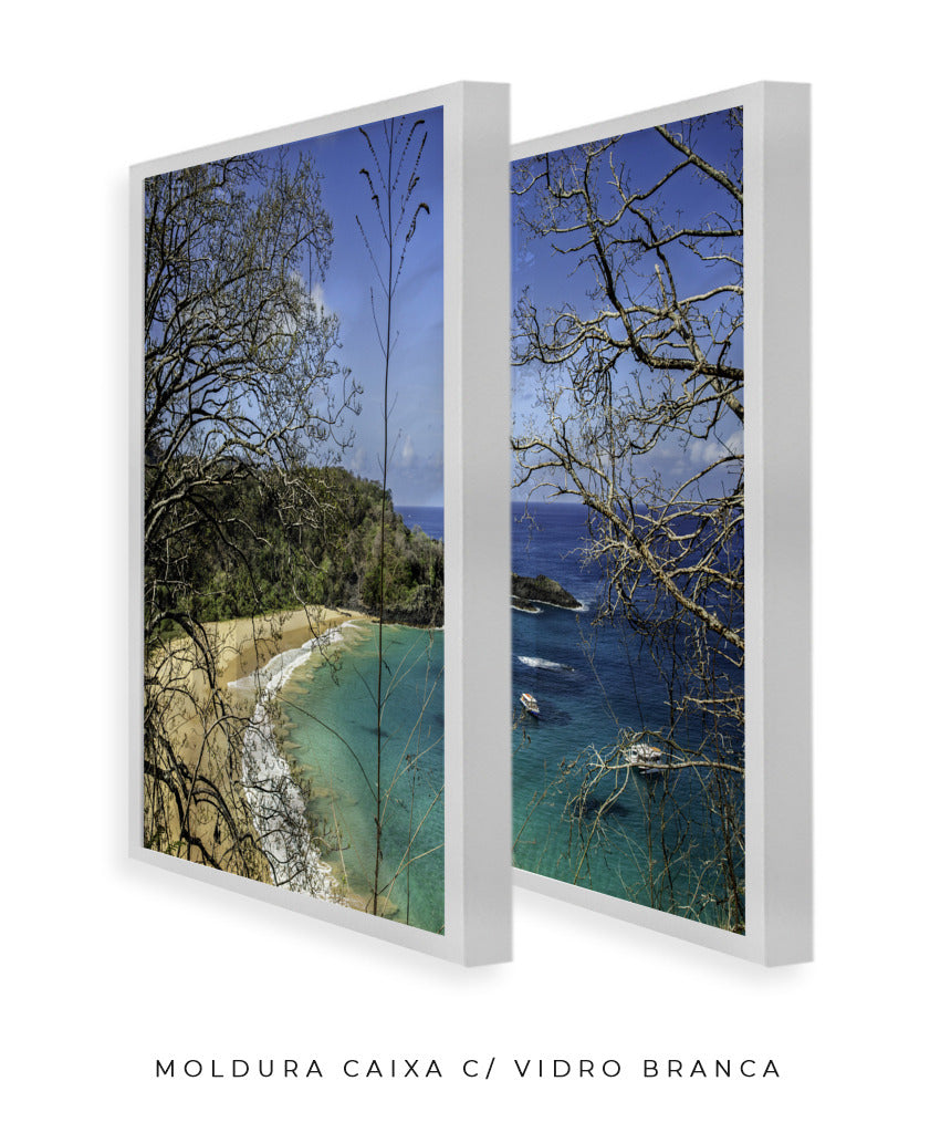 Quadro Decorativo Praia, Mar e Galhos Secos -Dupla