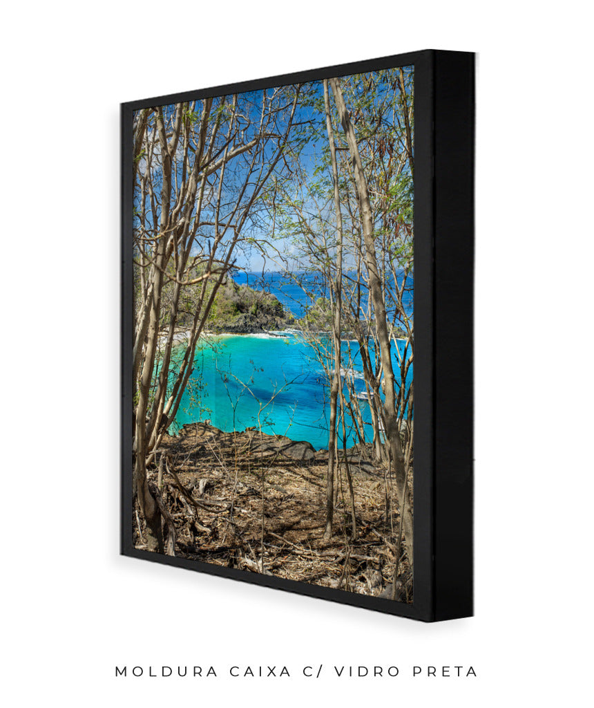 Quadro Decorativo Portais Praia