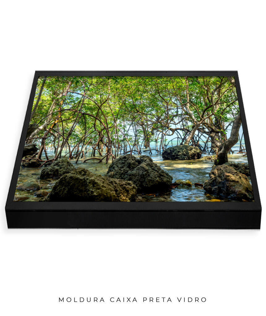 Quadro Decorativo Árvores e Galhos - Pedras e árvores