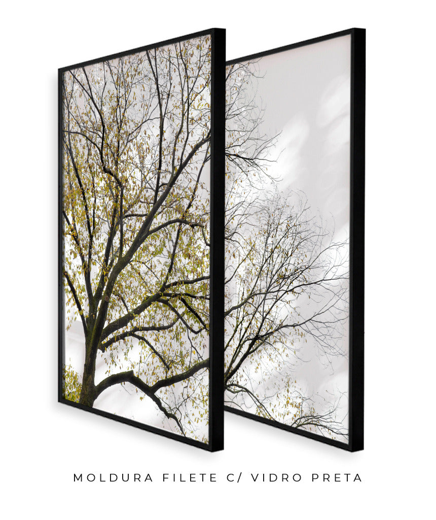 Quadro Decorativo Galhos Secos -Dupla