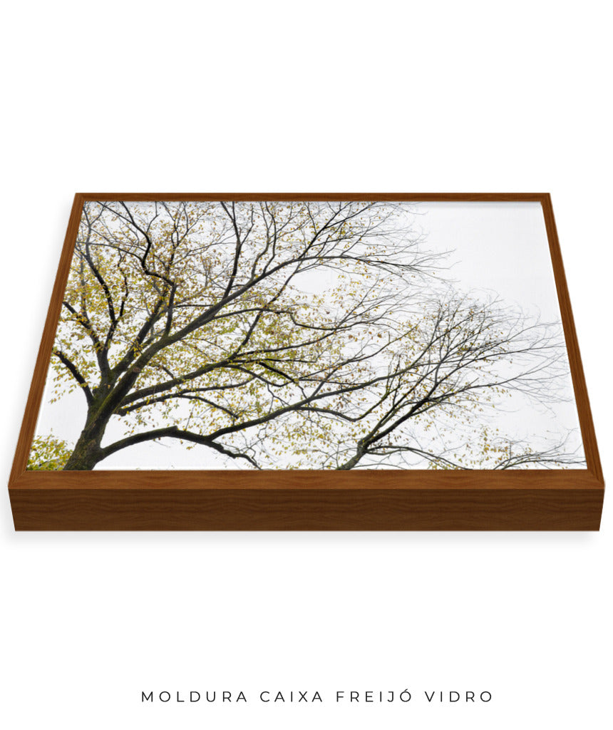 Quadro Decorativo Galhos Secos - Horizontal