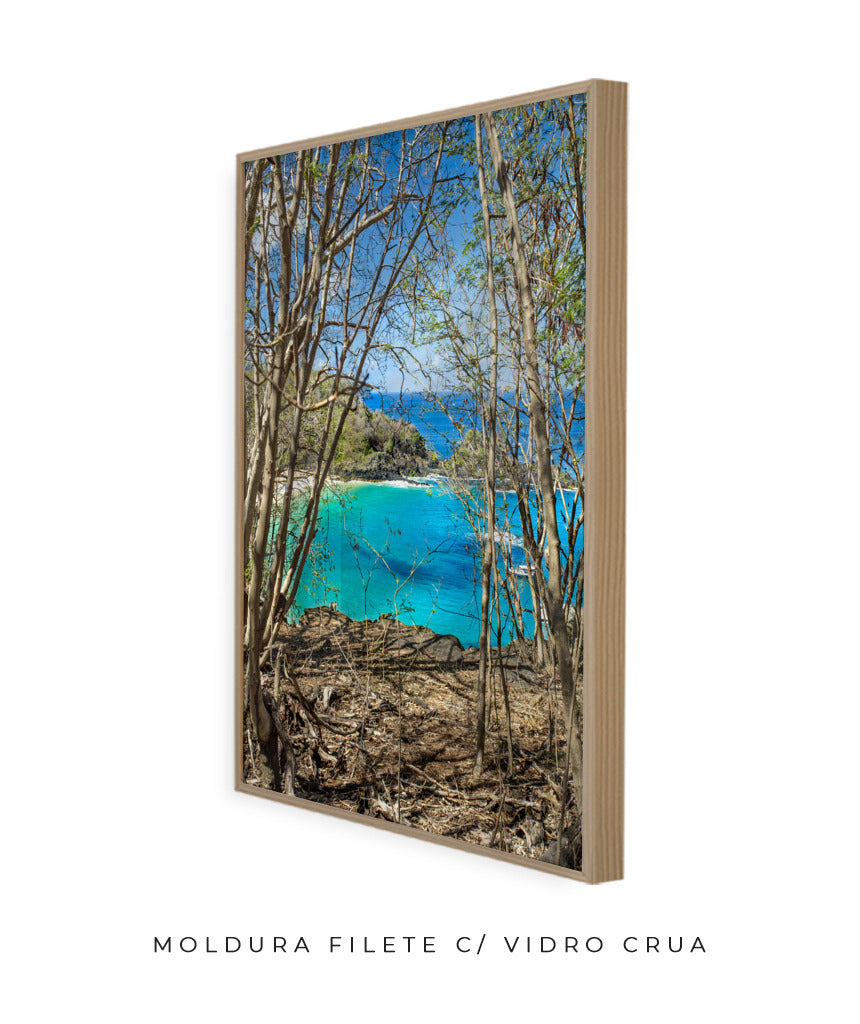 Quadro Decorativo Portais Praia