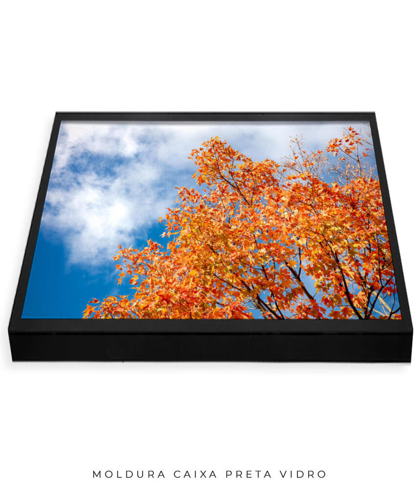 Quadro Decorativo Árvores e Galhos - Folhas laranjas