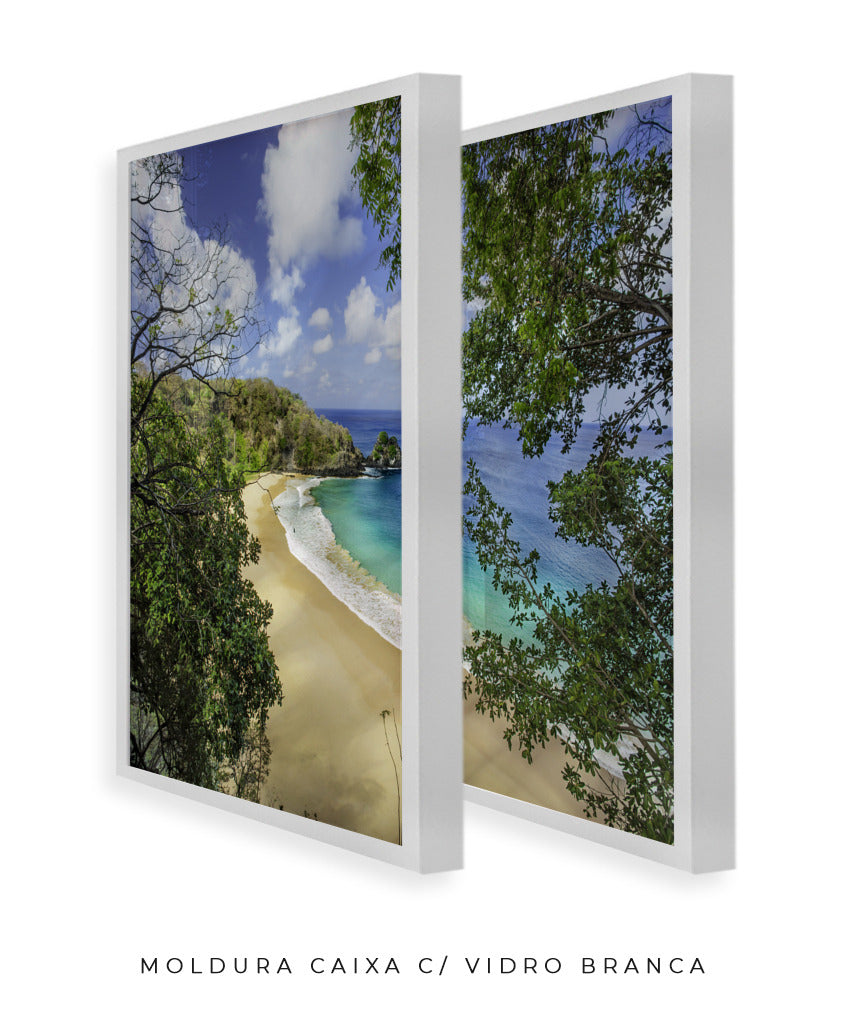 Quadro Decorativo Praia e mar,galhos verdes - Dupla