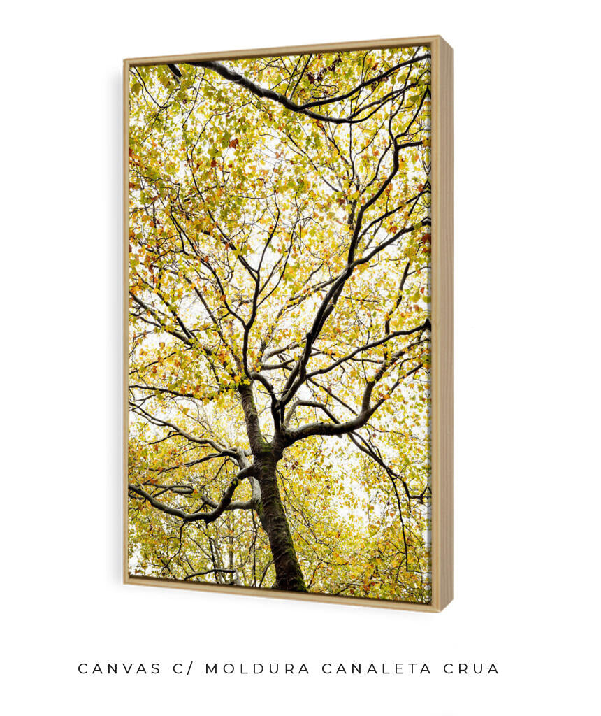 Quadro Decorativo Árvores e Galhos - Folhas verdes Vertical