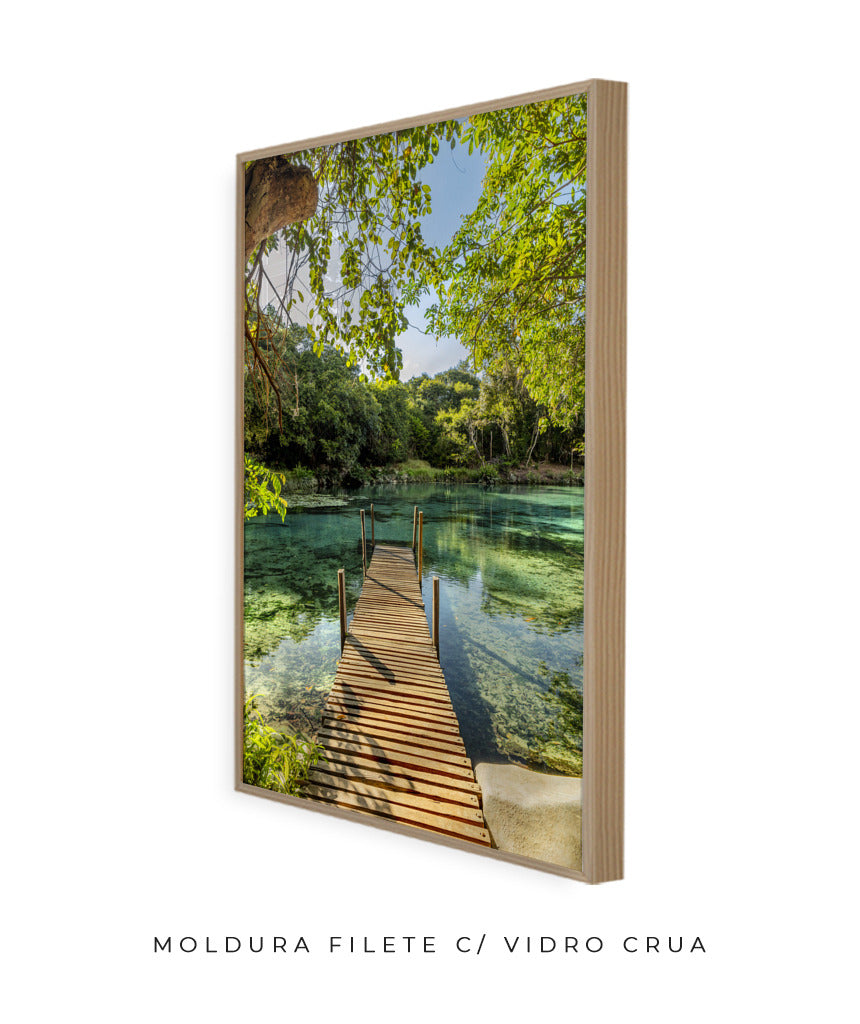 Quadro Decorativo Chapada Diamantina - Ponte para Paraíso-Vertical