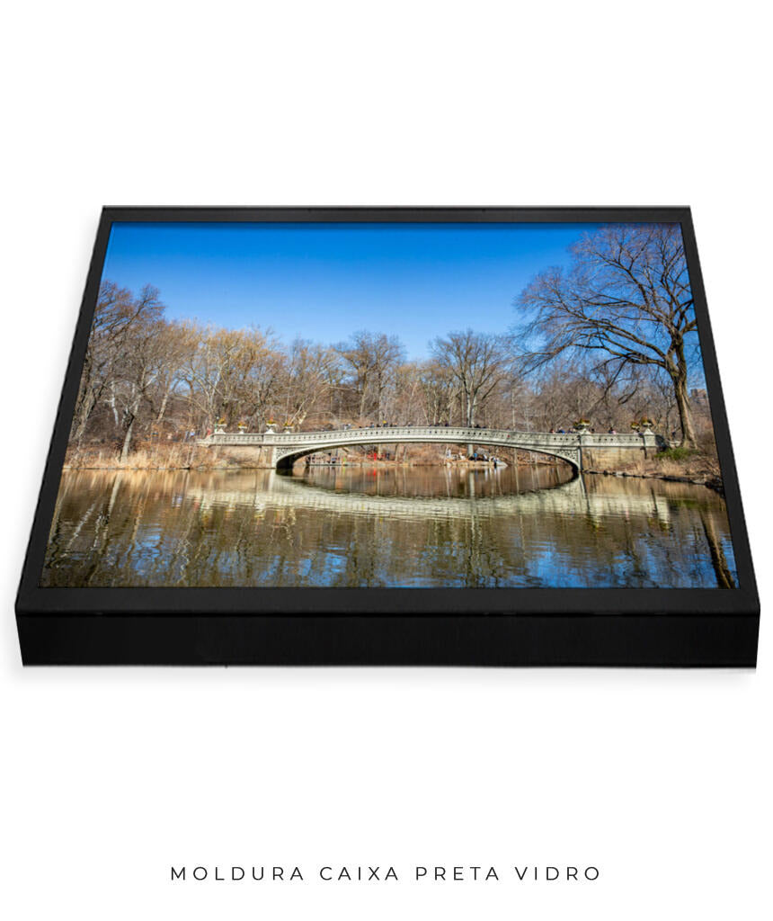 Quadro Decorativo Nova York - Central Park
