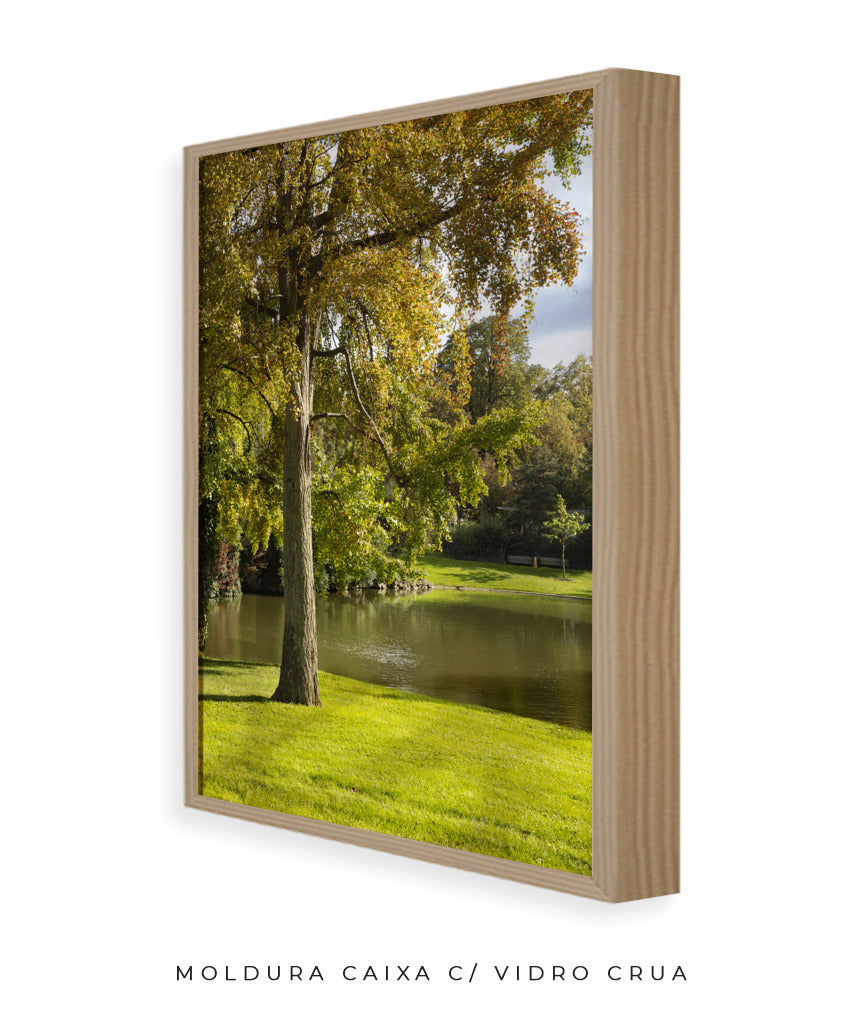 Quadro Decorativo Portais Natureza