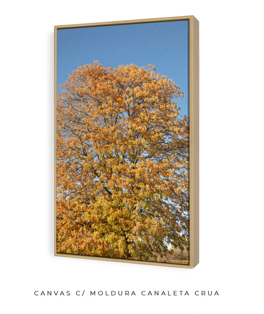 Quadro Decorativo Árvore Amarela