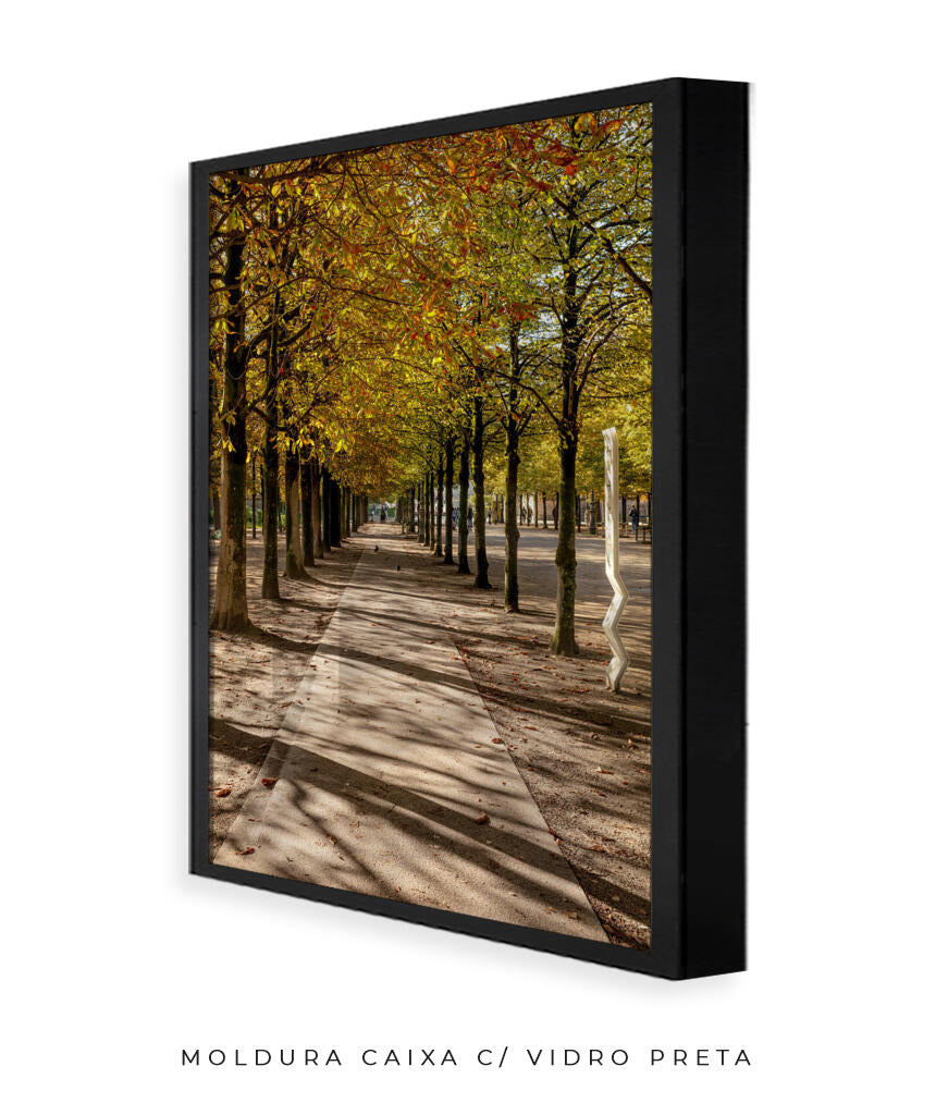 Quadro Decorativo Árvores e Galhos - Espaço para caminhada