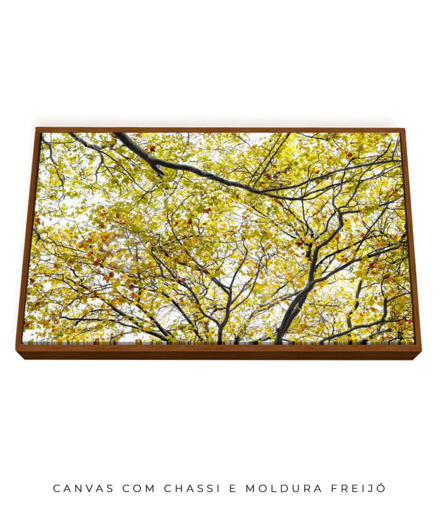 Quadro Decorativo Árvore com Galhos Verdes - Horizontal