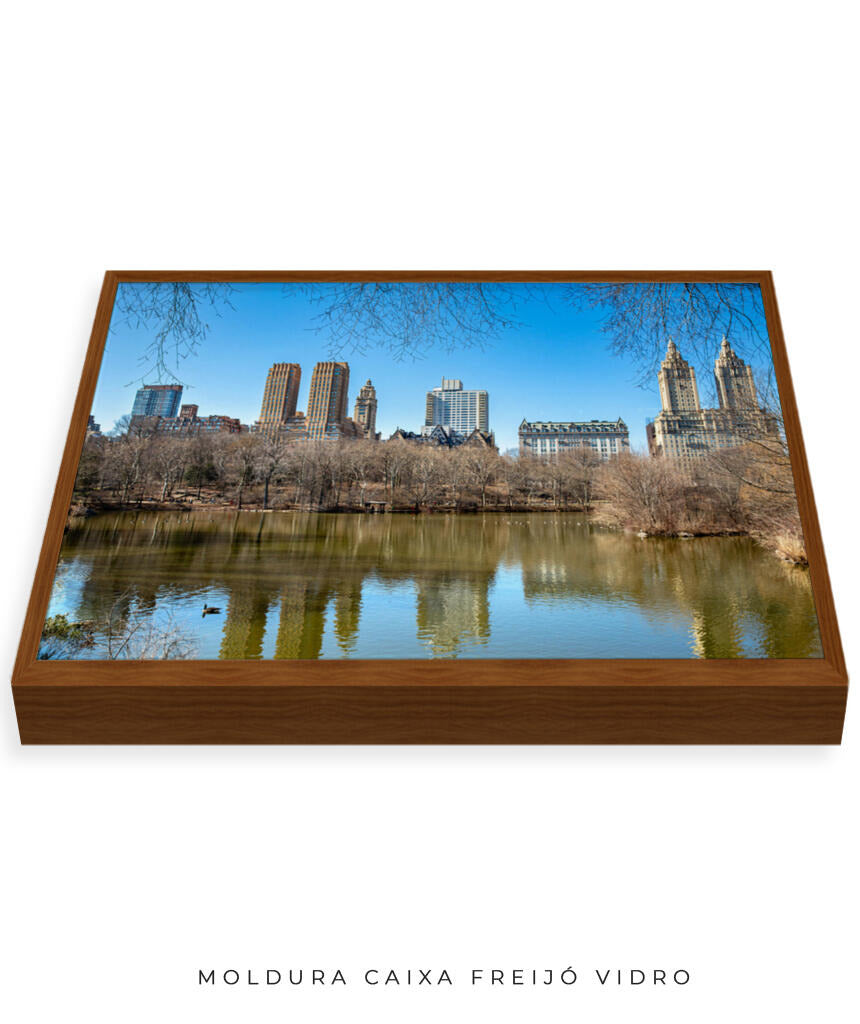 Quadro Decorativo Nova York - Prédios Central Park