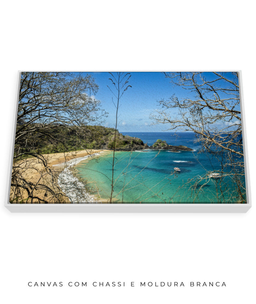 Quadro Decorativo Noronha - Praia, Mar e Galhos Secos - Horizontal