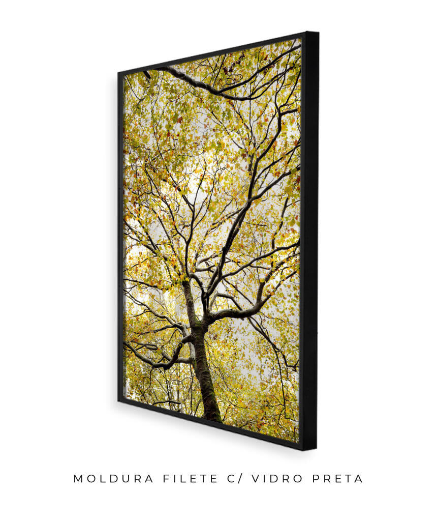Quadro Decorativo Árvores e Galhos - Folhas verdes Vertical