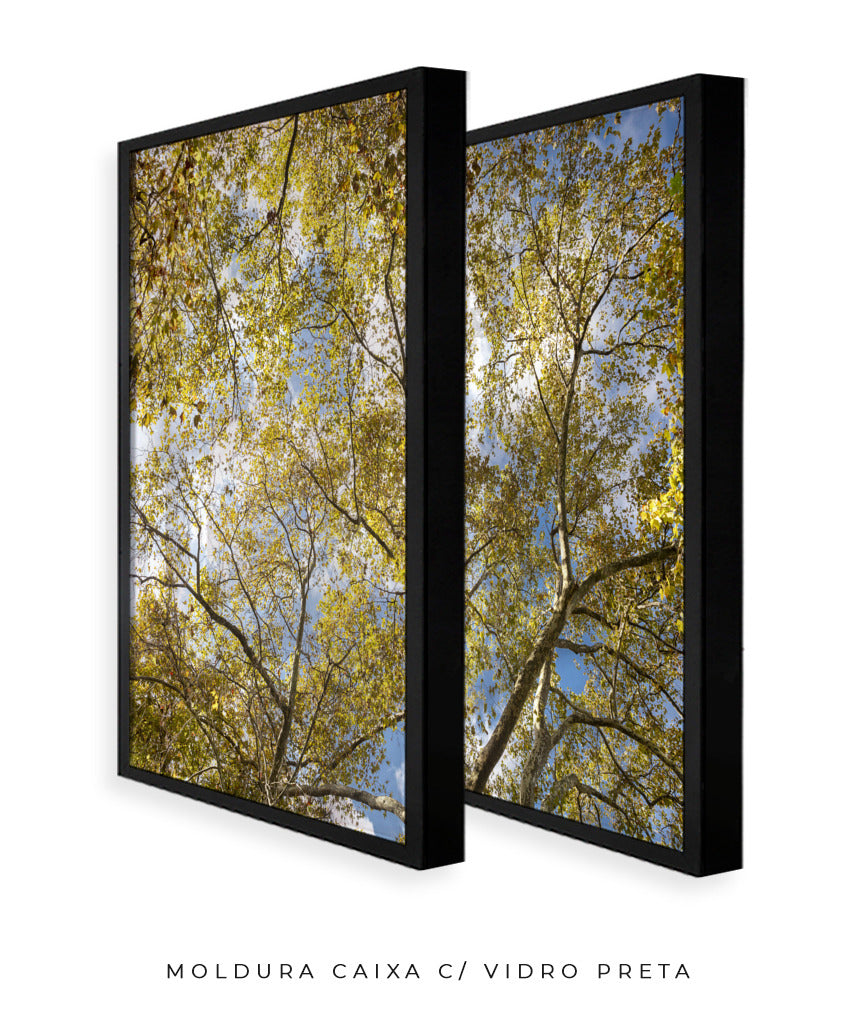 Quadro Decorativo Galhos e Árvores - Dupla