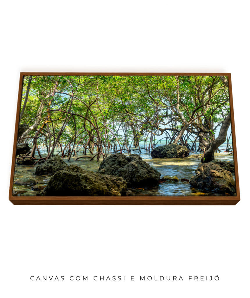 Quadro Decorativo Árvores e Galhos - Pedras e árvores