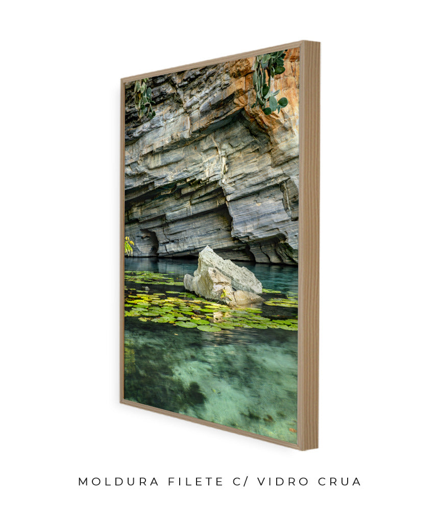 Quadro Decorativo Chapada Diamantina -Vitória Régia- Vertical