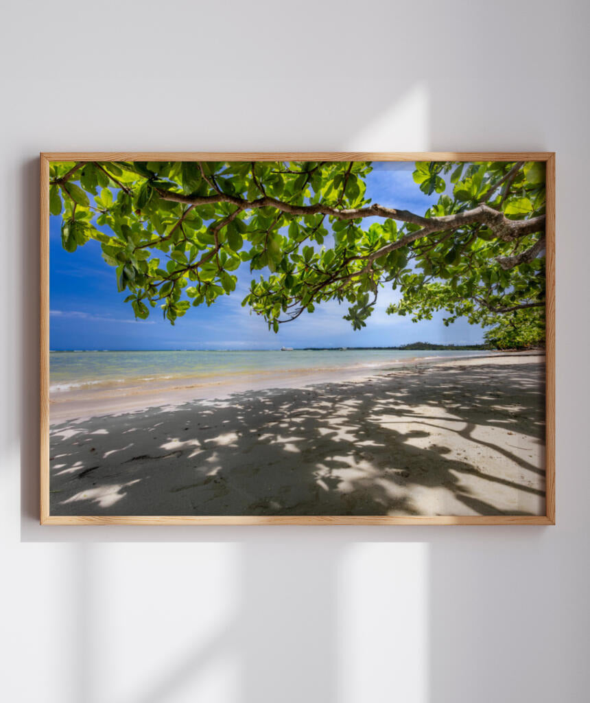 Quadro Decorativo Praia, Mar e Árvore Verde