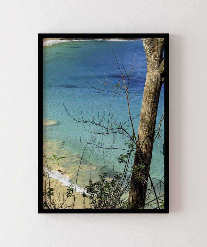 Quadro Decorativo Noronha - Mar Vertical