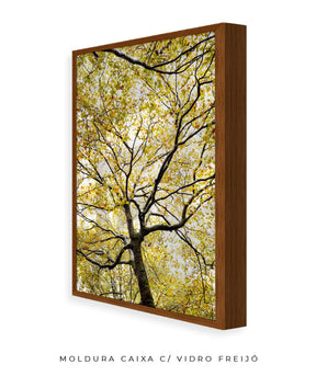 Quadro Decorativo Árvores e Galhos - Folhas verdes Vertical