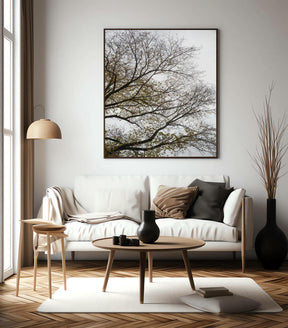 Quadro Decorativo Árvores e Galhos - Folhas secas Vertical