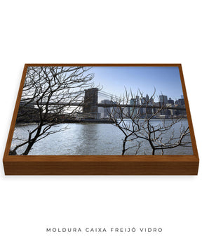 Quadro Decorativo Lago de Nova York