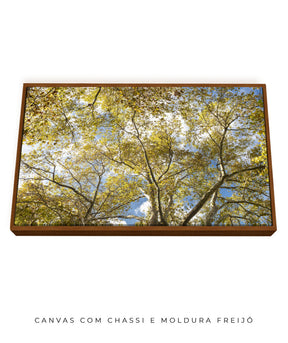 Quadro Decorativo Galhos e Árvores - Horizontal