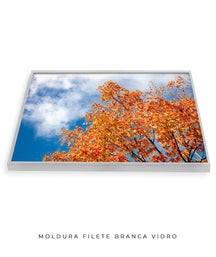 Quadro Decorativo Árvores e Galhos - Folhas laranjas