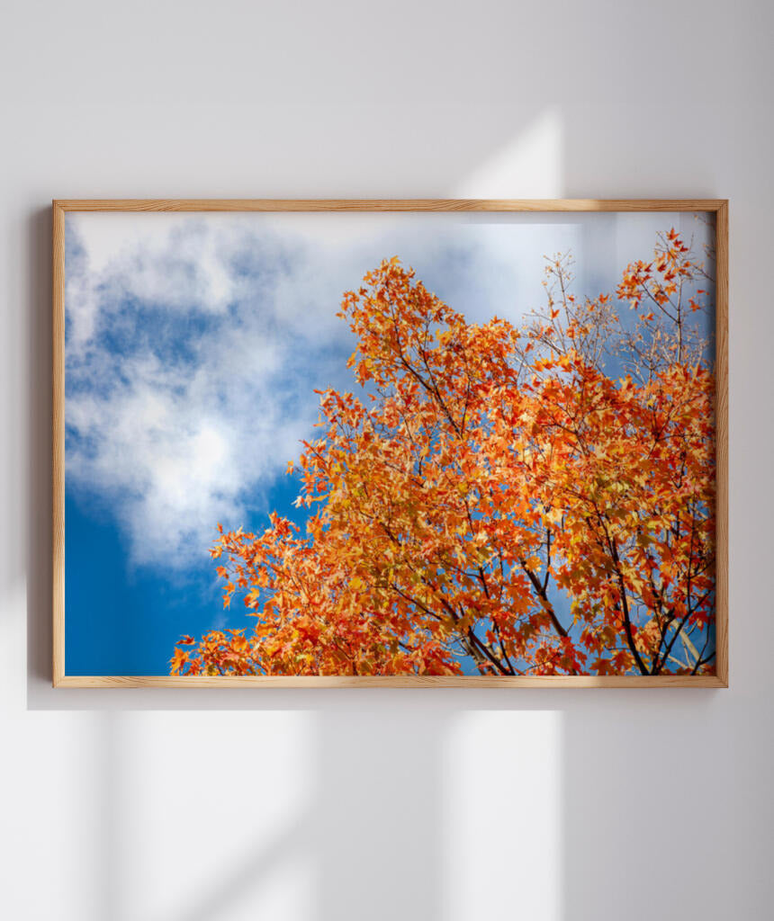 Quadro Decorativo Árvores e Galhos - Folhas laranjas