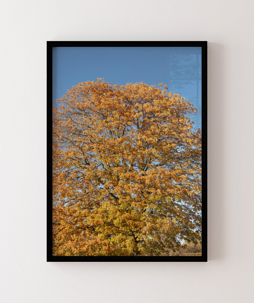Quadro Decorativo Árvore Amarela