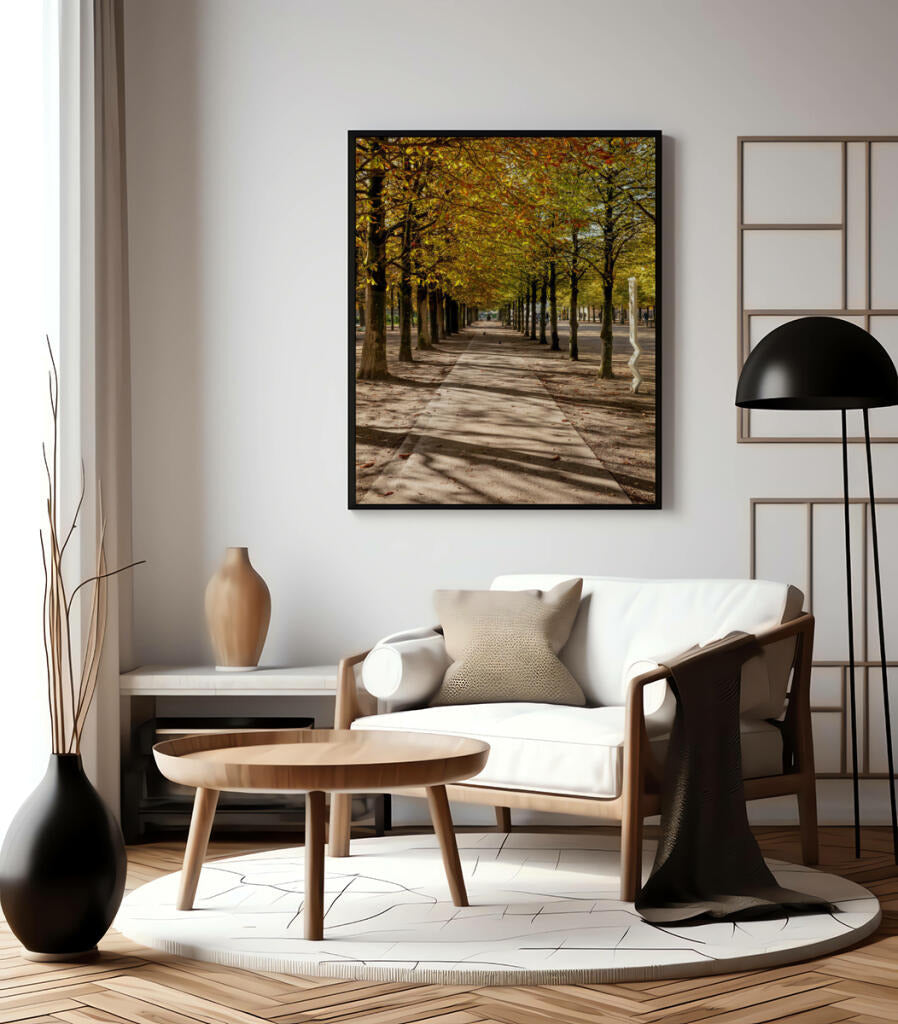 Quadro Decorativo Árvores e Galhos - Espaço para caminhada