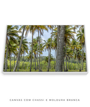 Quadro Decorativo Coqueiros Sépia - Horizontal